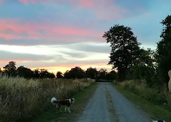 Chez Pastuso